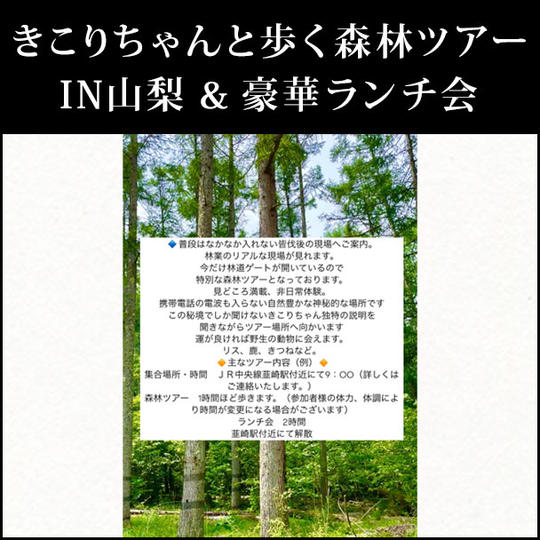 きこりちゃんと歩く森林ツアーIN山梨＆豪華ランチ会