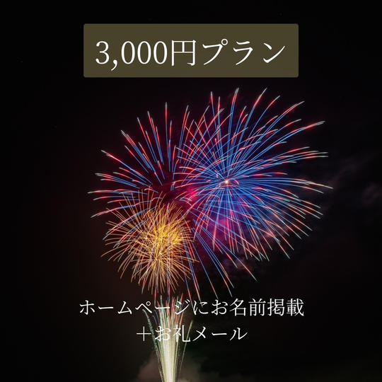 3,000円プラン(公式HPへお名前掲載+御礼メール)