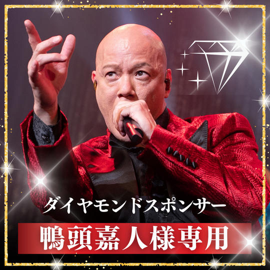 【鴨頭嘉人様専用】ダイヤモンドスポンサー