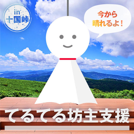 【1059 (十国) 価格】いまから晴れるよ！てるてる坊主支援