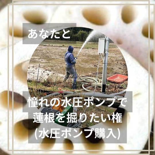 あなたと憧れの水圧ポンプを購入して蓮根を掘れる権