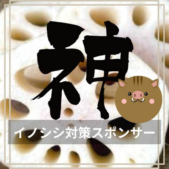 イノシシ対策！『神』スポンサー