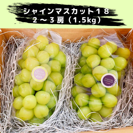 シャインマスカット2〜3房（1.5kg）【冷蔵送料含む】