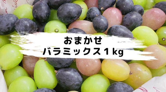 東洋経済　バラ売り可 数量限定】鳥海農園おまかせバラミックス合計1kg【冷蔵送料含む