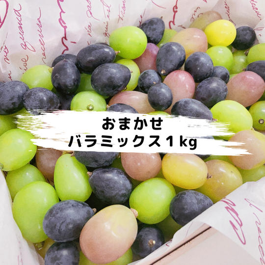 【数量限定】鳥海農園おまかせバラミックス合計1kg【冷蔵送料含む】