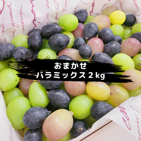 【数量限定】鳥海農園おまかせバラミックス合計2kg【冷蔵送料含む】