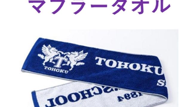 東北高校グッズ a717c6d53b0b67c8ec9ca3f3d99151