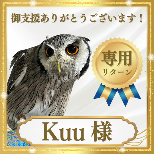 Kuu様 専用リターン
