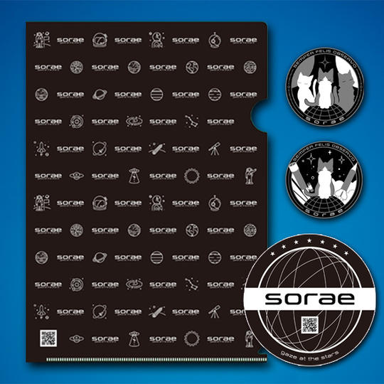 【購入&応援プラン】soraeクリアファイル(2枚)+ステッカーセット(3枚)