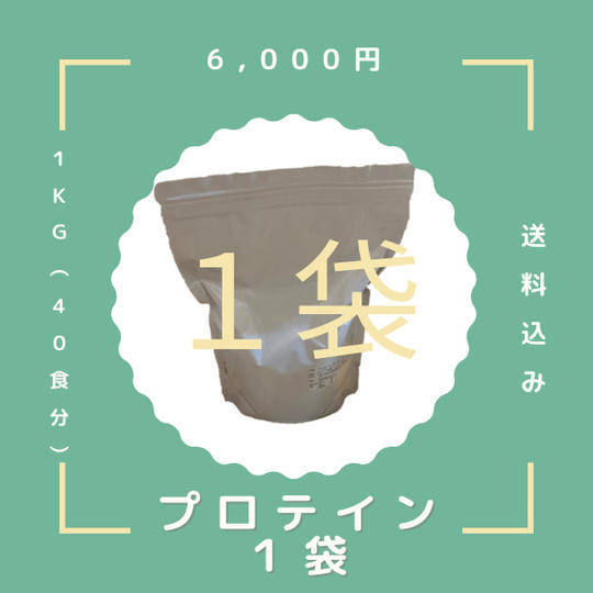 プロテイン１ｋｇ（チョコ味）