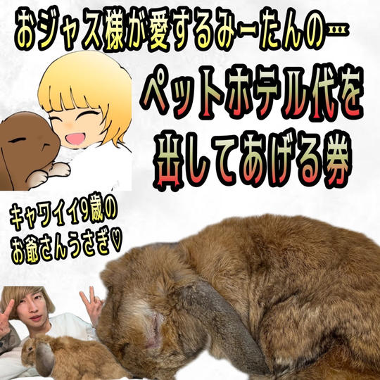 おジャス様の相棒みーたんのペットホテル代を出してあげる券