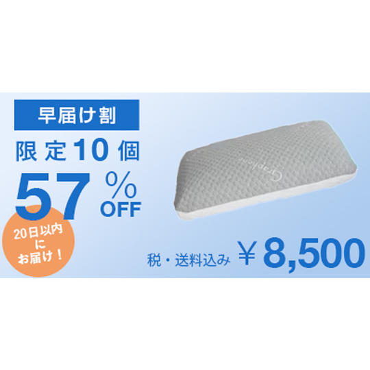 【早届け割57%OFF】Carbon Ice Pillow × 1個
