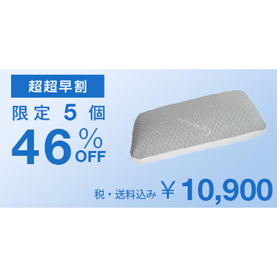 【超超早割46%OFF】Carbon Ice Pillow × 1個
