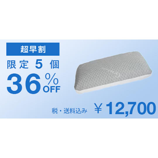 【超早割36%OFF】Carbon Ice Pillow × 1個