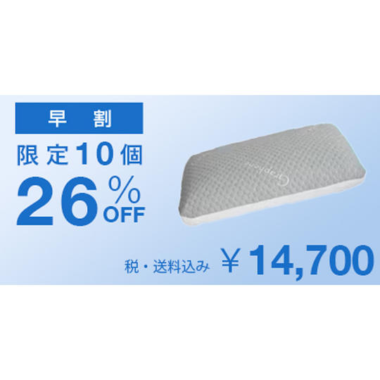 【早割26%OFF】Carbon Ice Pillow × 1個