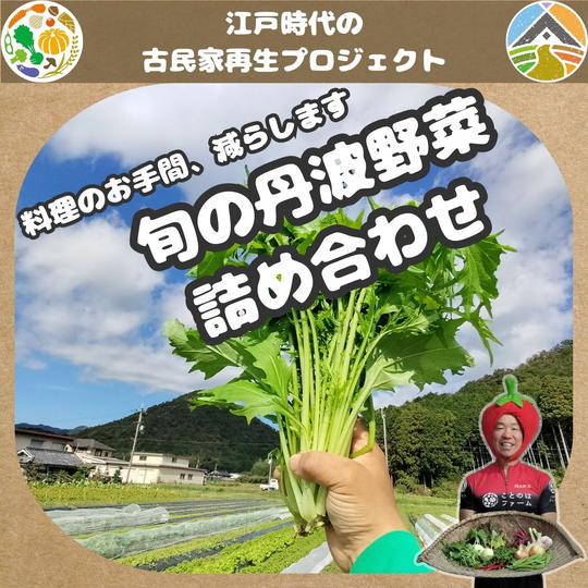 旬の丹波野菜詰め合わせ