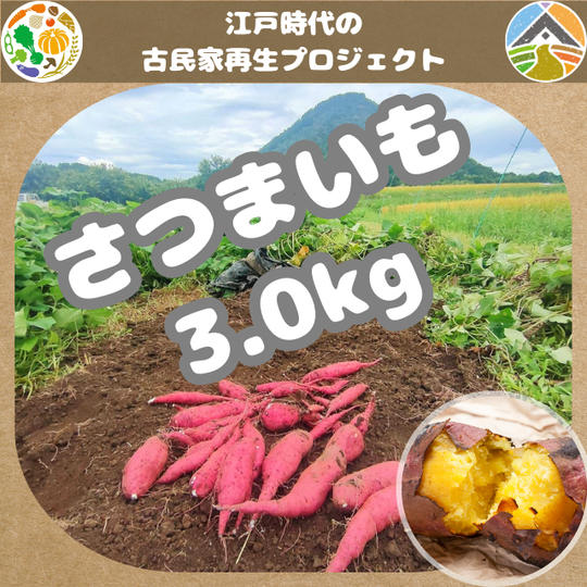 さつまいも 3kg