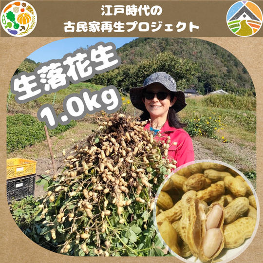 土付き生落花生