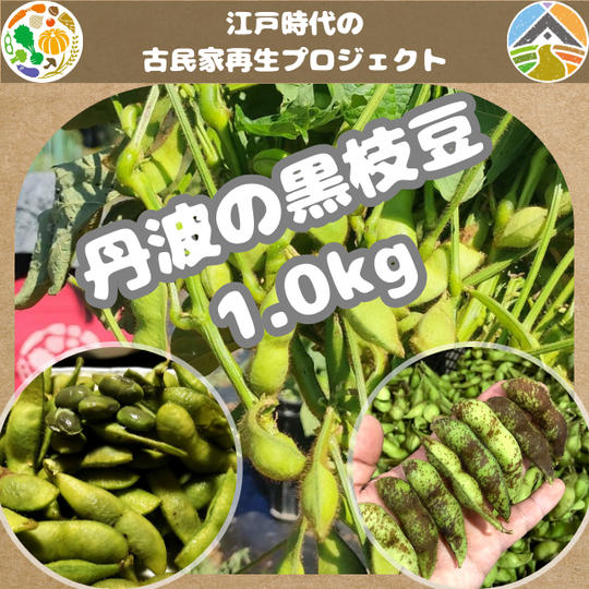 丹波の黒枝豆