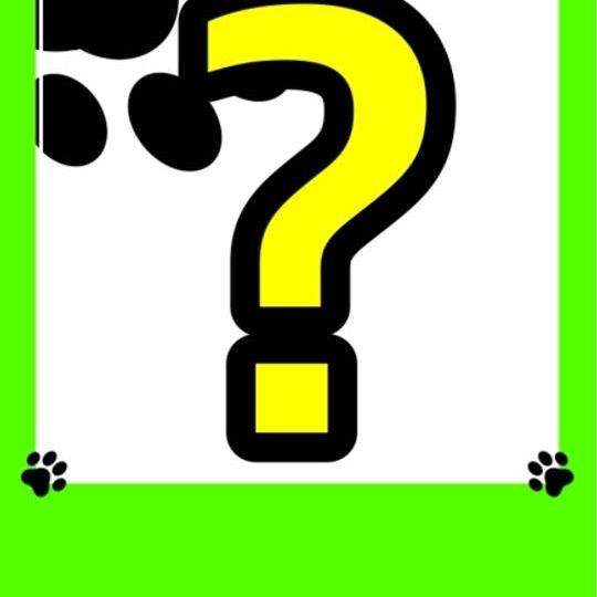 猫狭間の戦いの飼い主カードに登場権利