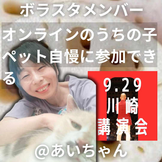 【ボラスタ挑戦シリーズ】あいちゃんへの挑戦応援権