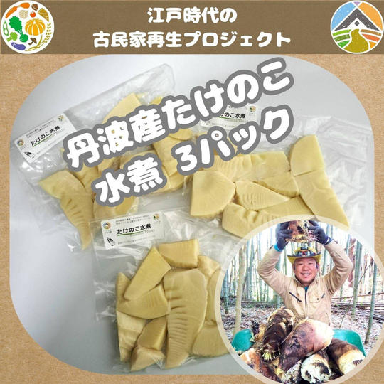 丹波産たけのこの水煮（3パック）