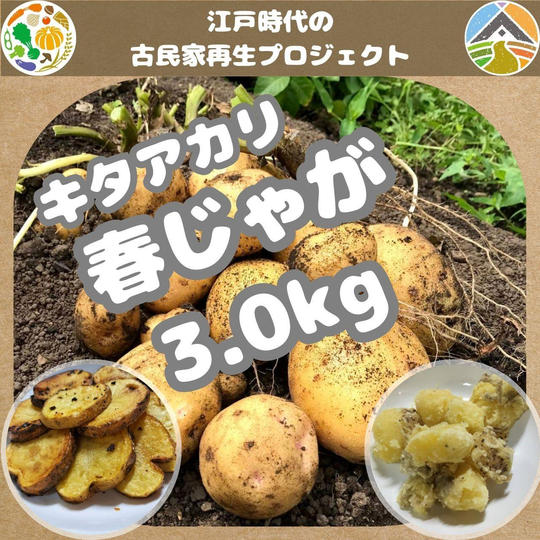 春じゃが 3.0kg
