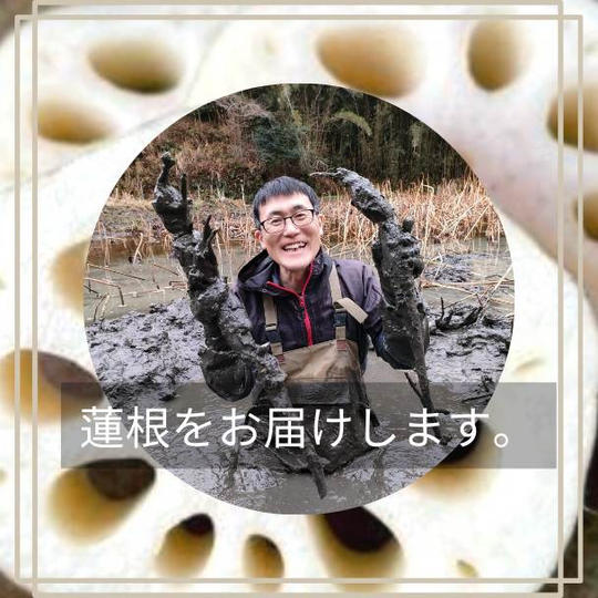 再々レンコンさん蓮根お届け！！