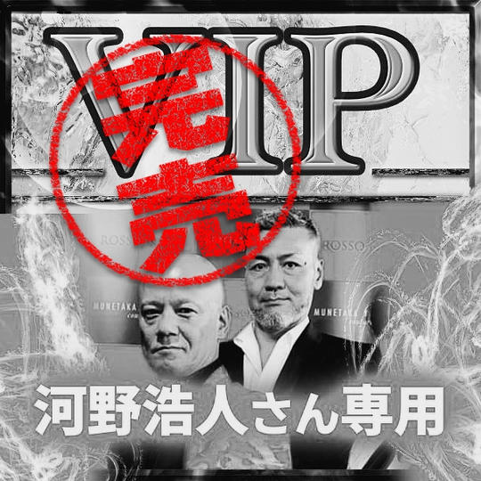 河野浩人さん専用 VIPチケット