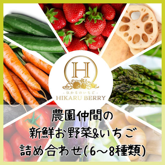 お野菜詰め合わせセット