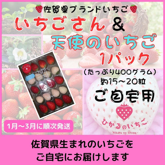 佐賀県ブランドいちご「いちごさん＆天使のいちご」ご自宅用