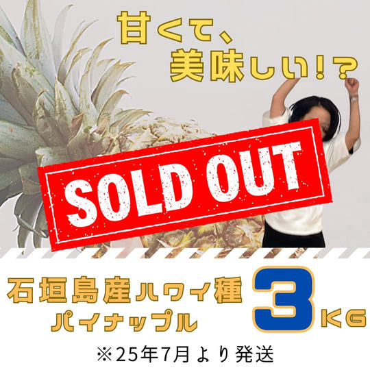 石垣島産ﾊﾜｲ種ﾊﾟｲﾝｱｯﾌﾟﾙ3kg