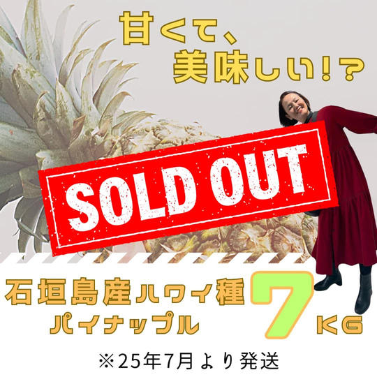 石垣島産さんﾊﾜｲ種ﾊﾟｲﾝｱｯﾌﾟﾙ7kg