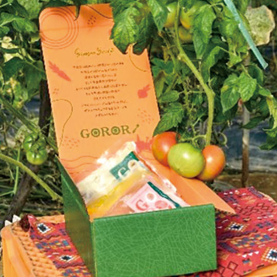 season soup GORORI おまかせ2食セット（LEGUMEnex／旭市）