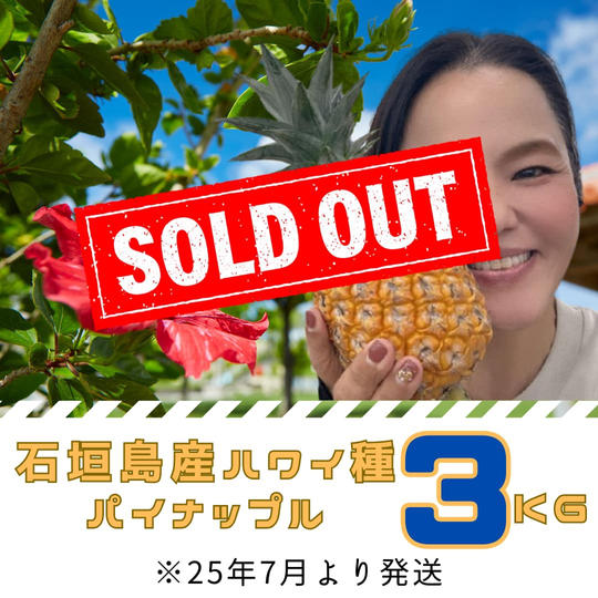 追加　石垣島産ﾊﾟｲﾝｱｯﾌﾟﾙ3kg(2個ぐらい)