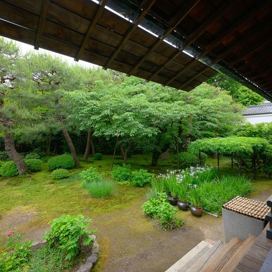 【限定5】大聖寺特別拝観　（ご希望のお日にちに開催、最大5名様）