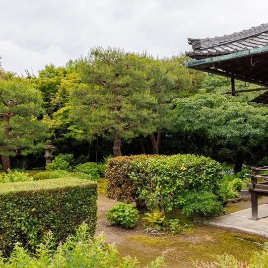 【限定1】大聖寺お茶会開催（1日）