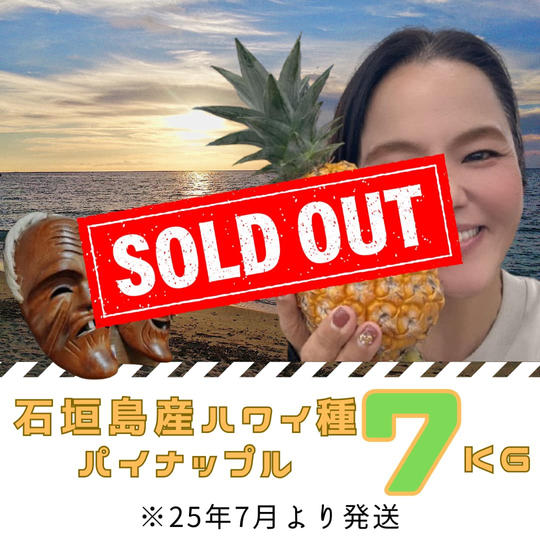 再追加　石垣島産ﾊﾟｲﾝｱｯﾌﾟﾙ7kg