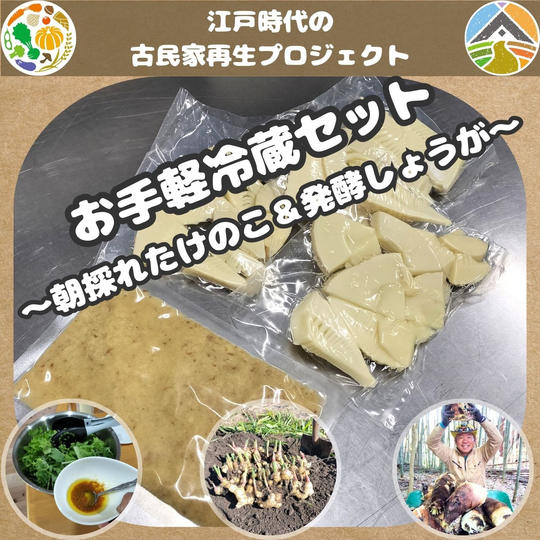 お手軽冷蔵セット～朝採れたけのこ＆発酵しょうが～