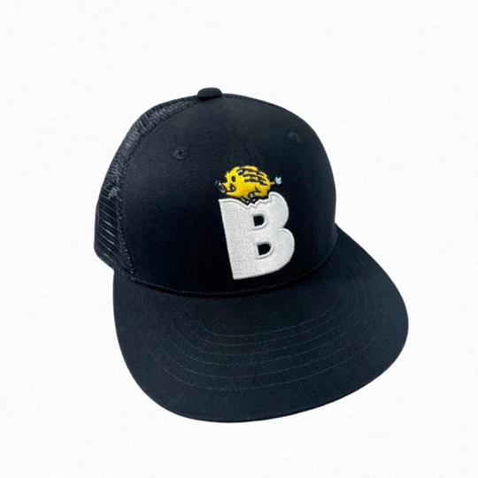 メッシュキャップ