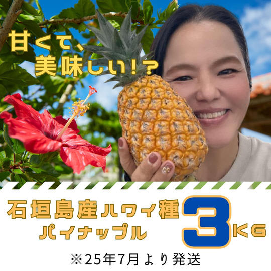 再々追加　石垣島産ﾊﾜｲ種ﾊﾟｲﾝｱｯﾌﾟﾙ3kg