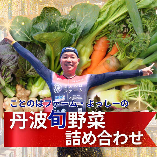 丹波の旬野菜詰め合わせ!よっしー(善積良至さん)が丹精込めて育てた美味しいお野菜が届きます☆