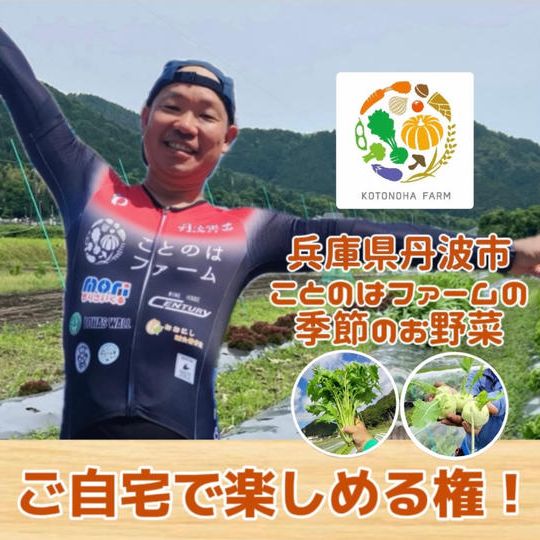 野菜を愛してやまないヨッシーさんが育てた！丹波の旬の野菜詰め合わせをご自宅で楽しめる権！