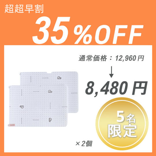 【超超早割】Paperlike2.1 ×２セット