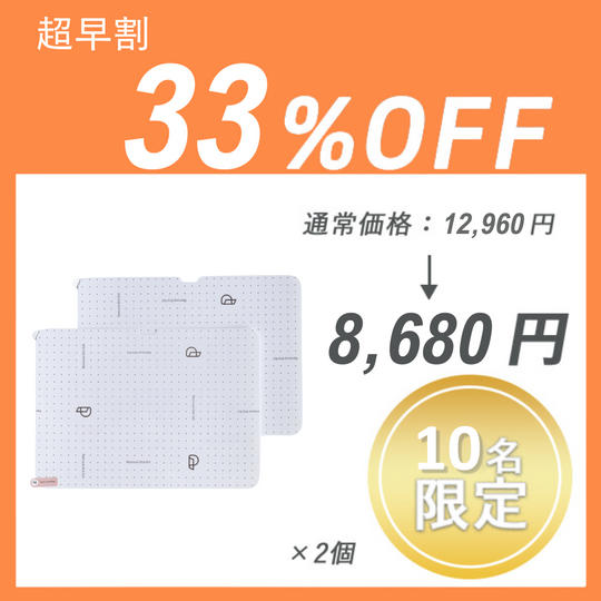 【超早割】Paperlike2.1 ×２セット
