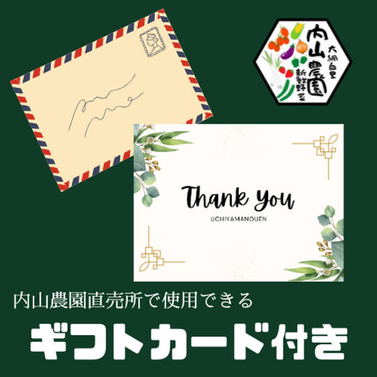 お礼のお手紙(100円引きのギフト券つき)