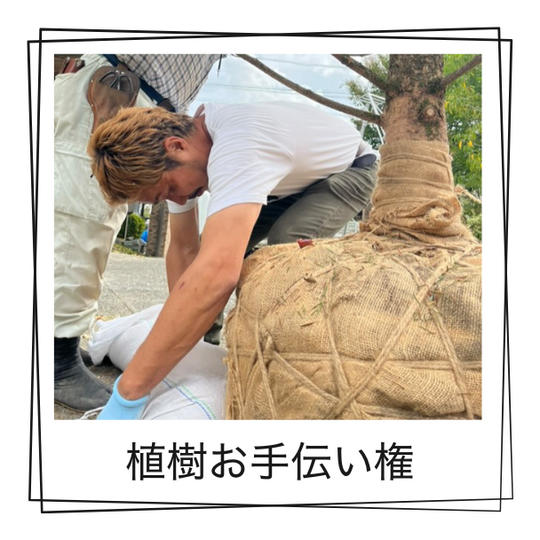 植樹当日スタッフとしてお手伝い権