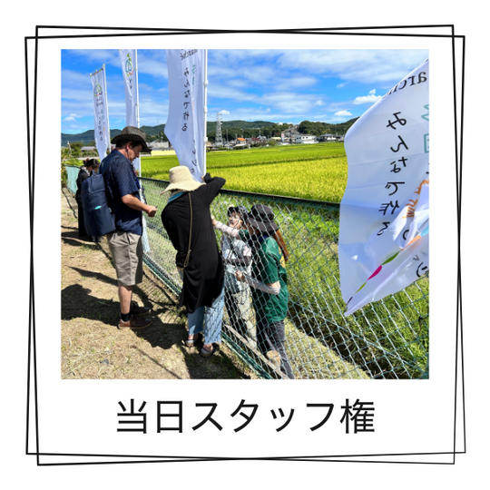 ハートマルシェ当日スタッフとしてお手伝い権