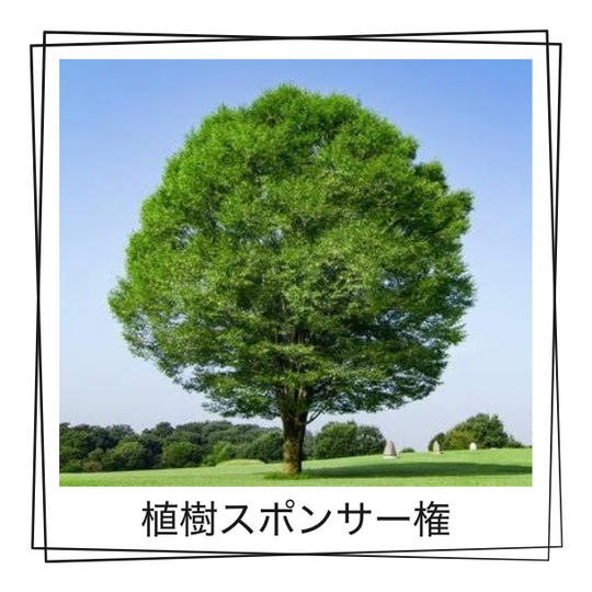 「人が集まる木」の植樹スポンサー権