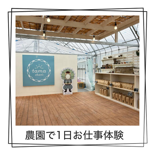 たまちゃんず農園で一日お仕事体験できる権
